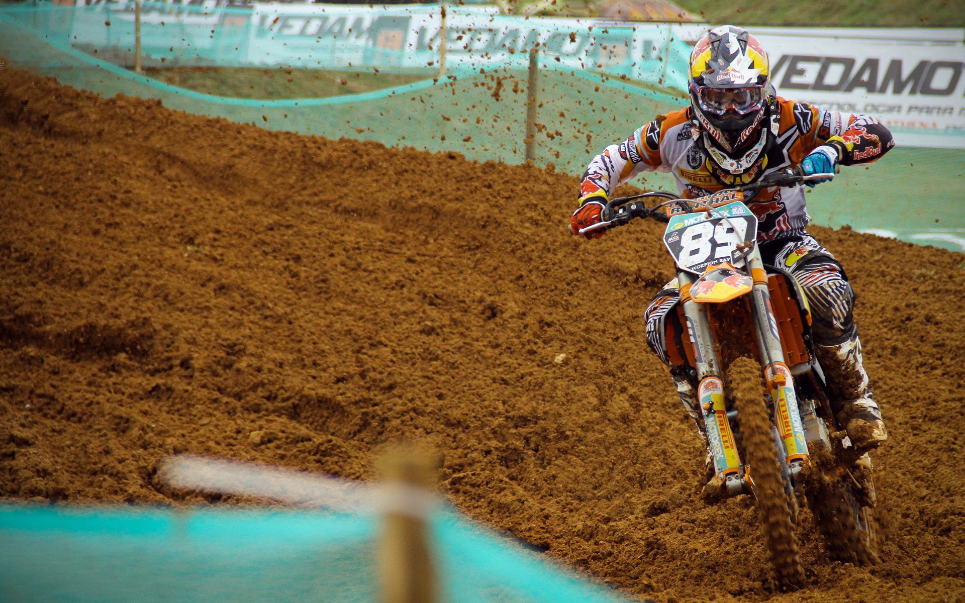 未来探索：新星崭露头角的潜力无限，未来新星职业